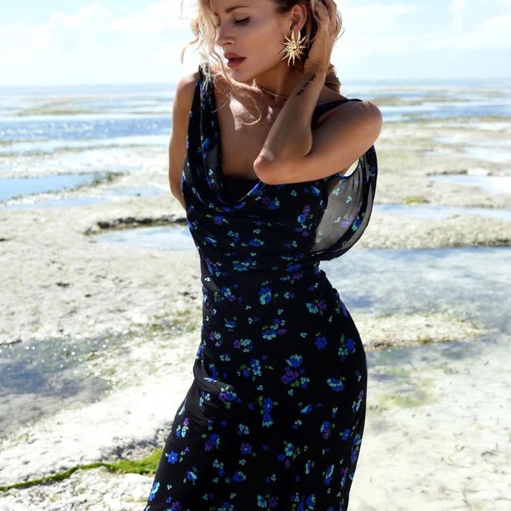 NWT Rat & Boa Santiago Floral Chiffon Crepe Gown Small